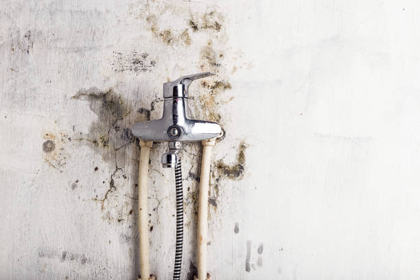 Mold Testing and Removal in Fayetteville, NC