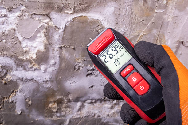 Best Office Mold Removal Services  in Fayetteville, NC