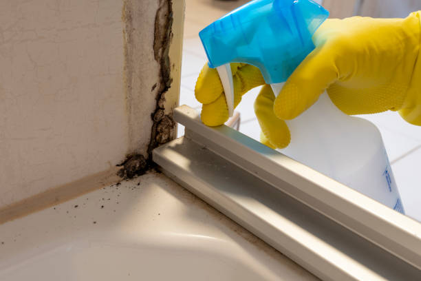 Best Crawl Space Mold Removal  in Fayetteville, NC