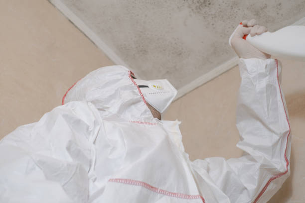 Crawl Space Mold Removal in Fayetteville, NC