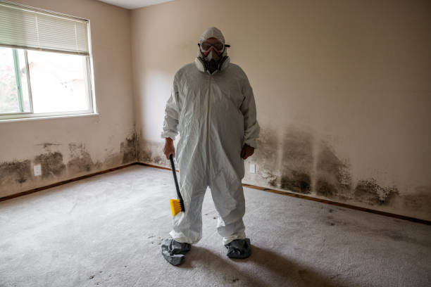 Best Residential Mold Removal  in Fayetteville, NC